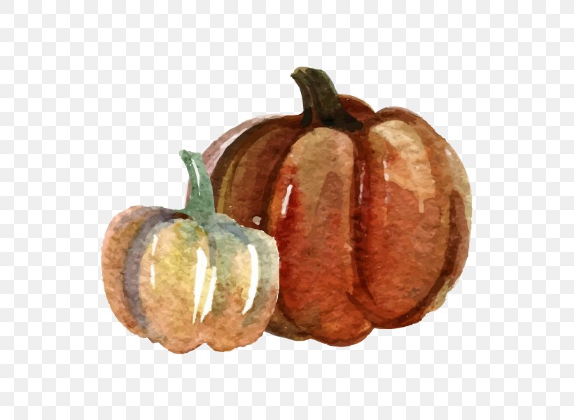 Pumpkin Watercolor Painting, PNG, 600x600px, Pumpkin, Calabaza, Color, Cucurbita, Food Download Free