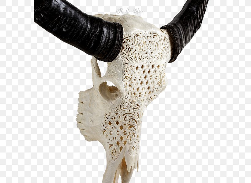 Skull Human Skeleton Horn Art, PNG, 600x600px, Skull, American Bison, Art, Bone, Carving Download Free