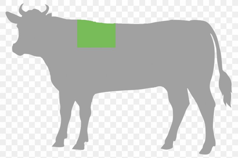 Cattle Cut Of Beef Steak Food, PNG, 900x598px, Cattle, Beef, Beef Tenderloin, Brisket, Bull Download Free