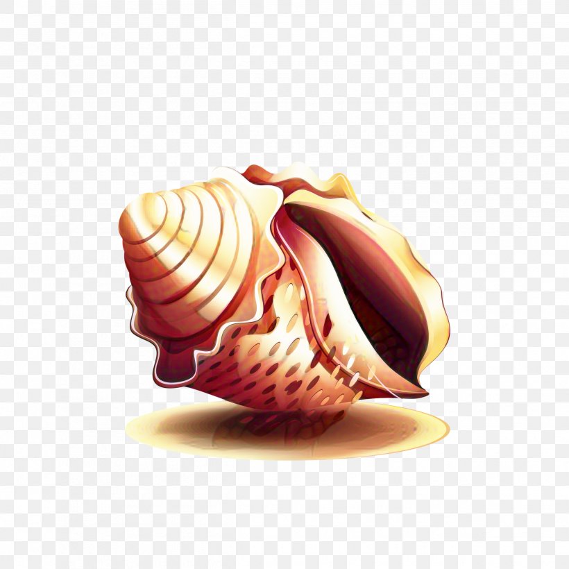 Snail Cartoon, PNG, 2495x2495px, Cockle, Conch, Conchology, Jewellery, Natural Material Download Free