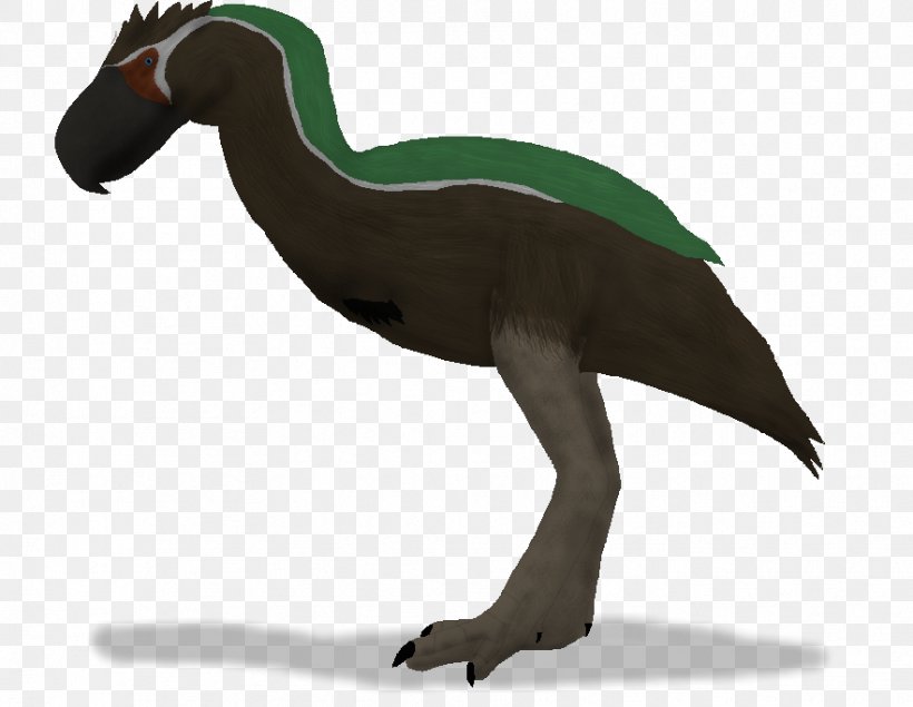 Anatidae Velociraptor Goose Cygnini Duck, PNG, 882x684px, Anatidae, Animal, Beak, Bird, Cygnini Download Free
