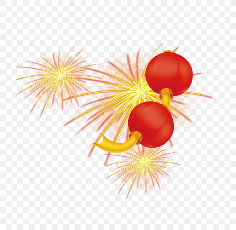 Fireworks Vector Graphics Image, PNG, 800x800px, Fireworks, Explosive Material, Firecracker, Flame, Lantern Download Free
