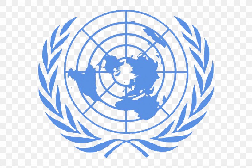 Flag Cartoon, PNG, 890x595px, United Nations, Flag Of The United Nations, Human Rights, Logo, Model United Nations Download Free