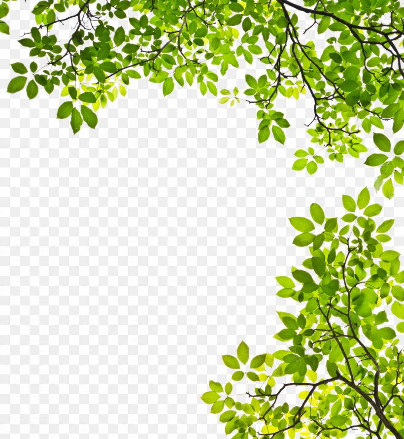 Leaves, PNG, 942x1024px, Book, Abebooks, Area, Author, Book Depository Download Free