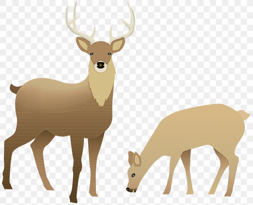 Reindeer, PNG, 3000x2435px, Watercolor, Deer, Elk, Fawn, Paint Download Free