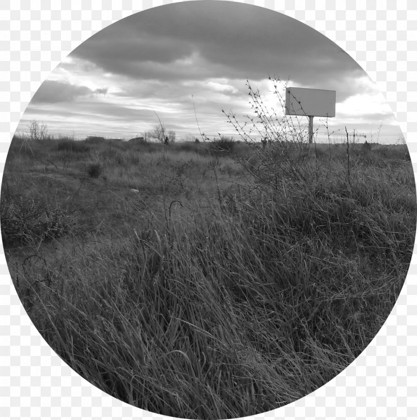 Stock Photography Sky Plc, PNG, 1587x1600px, Photography, Black And White, Grass, Landscape, Monochrome Download Free