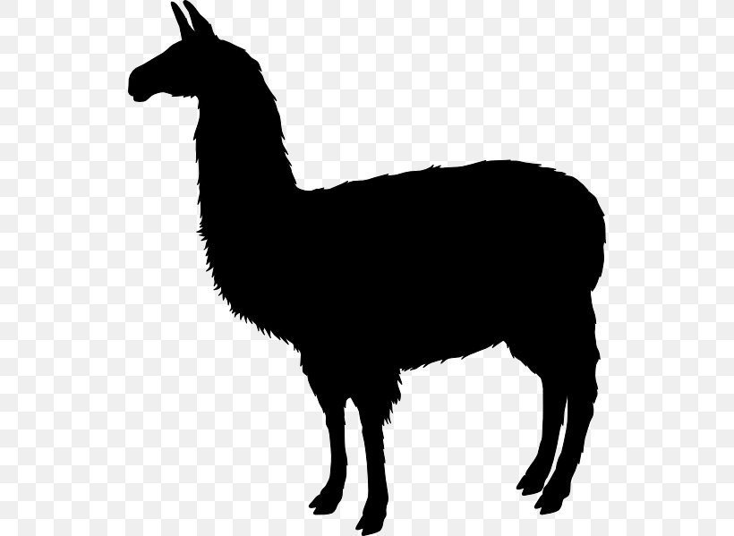 T-shirt Llama Clip Art, PNG, 534x599px, Tshirt, Alpaca, Autocad Dxf, Camelid, Guanaco Download Free