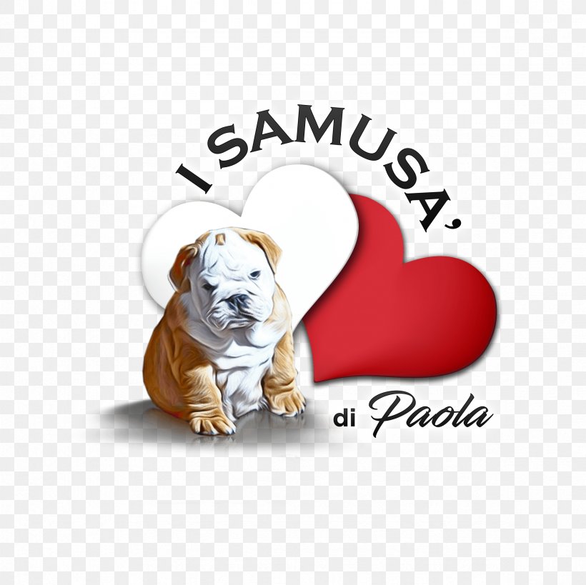 Bulldog Puppy Dog Breed I SAMUSA' DI PAOLA Border Collie, PNG, 2362x2362px, Bulldog, Animal, Animal Husbandry, Animal Shelter, Border Collie Download Free