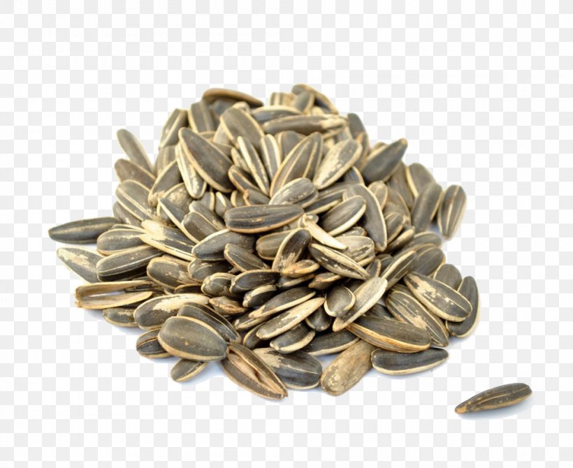 Common Sunflower Sunflower Seed Muesli Food, PNG, 1000x818px, Common Sunflower, Almond, Business, Commodity, Cracker Download Free