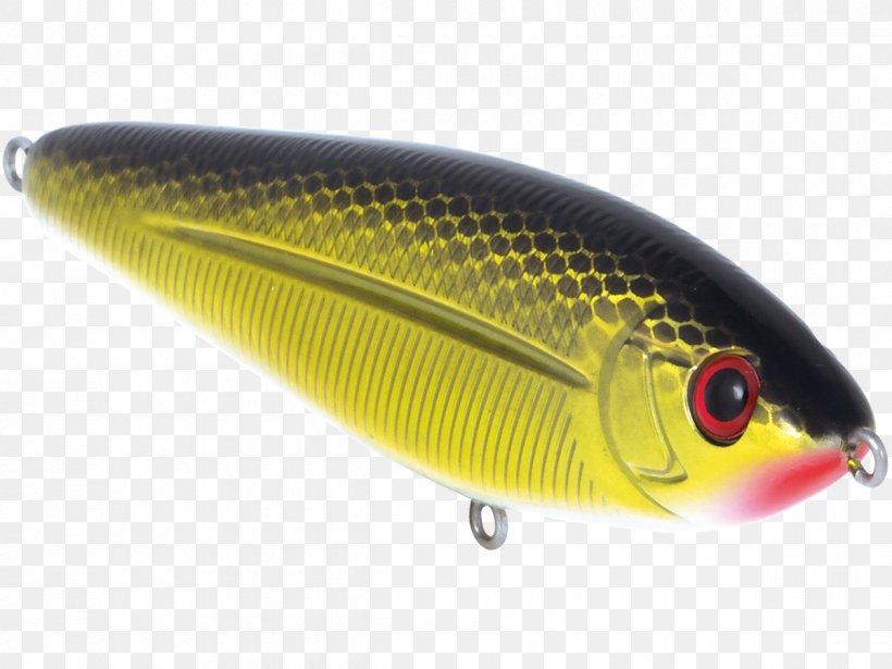 Schoolmaster Oily Fish Livingston Lures, PNG, 1200x900px, School, Ac Power Plugs And Sockets, Bait, Fin, Fish Download Free