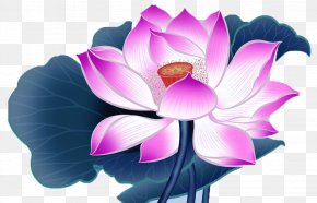 Lotus Cartoon Picture Material - China Nelumbo Nucifera Cartoon Falun Gong PNG