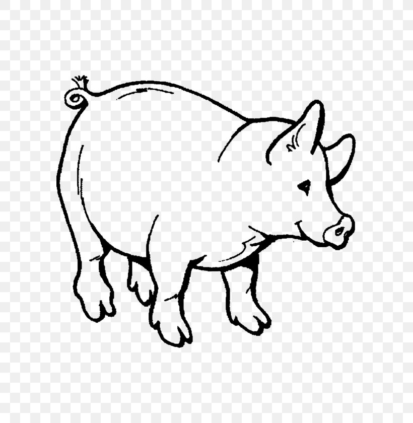 Domestic Pig Coloring Book Child Adult, PNG, 595x840px, Pig, Adult, Animal, Animal Figure, Area Download Free