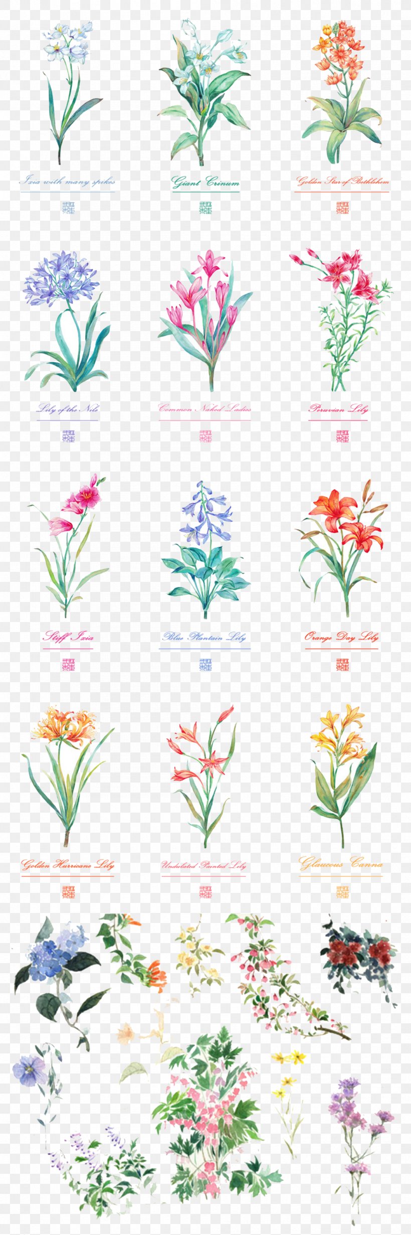 Floral Design Flower Bouquet Watercolor Painting, PNG, 1056x3171px, Floral Design, Art, Branch, Creative Arts, Flora Download Free