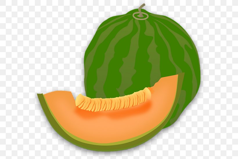 Honeydew Cantaloupe Canary Melon Clip Art, PNG, 600x550px, Honeydew, Calabaza, Canary Melon, Cantaloupe, Cucumber Gourd And Melon Family Download Free