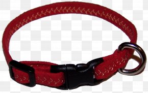 Dog Collars - Leash Cat Dog Collar PNG