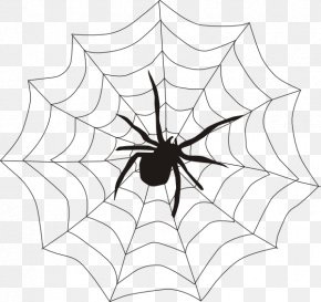 White Spider Web Images White Spider Web Transparent Png Free