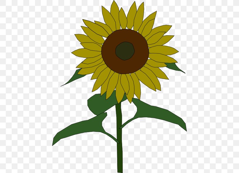 Common Sunflower Free Content Public Domain Clip Art, PNG, 462x593px, Common Sunflower, Blog, Daisy Family, Facebook, Flower Download Free