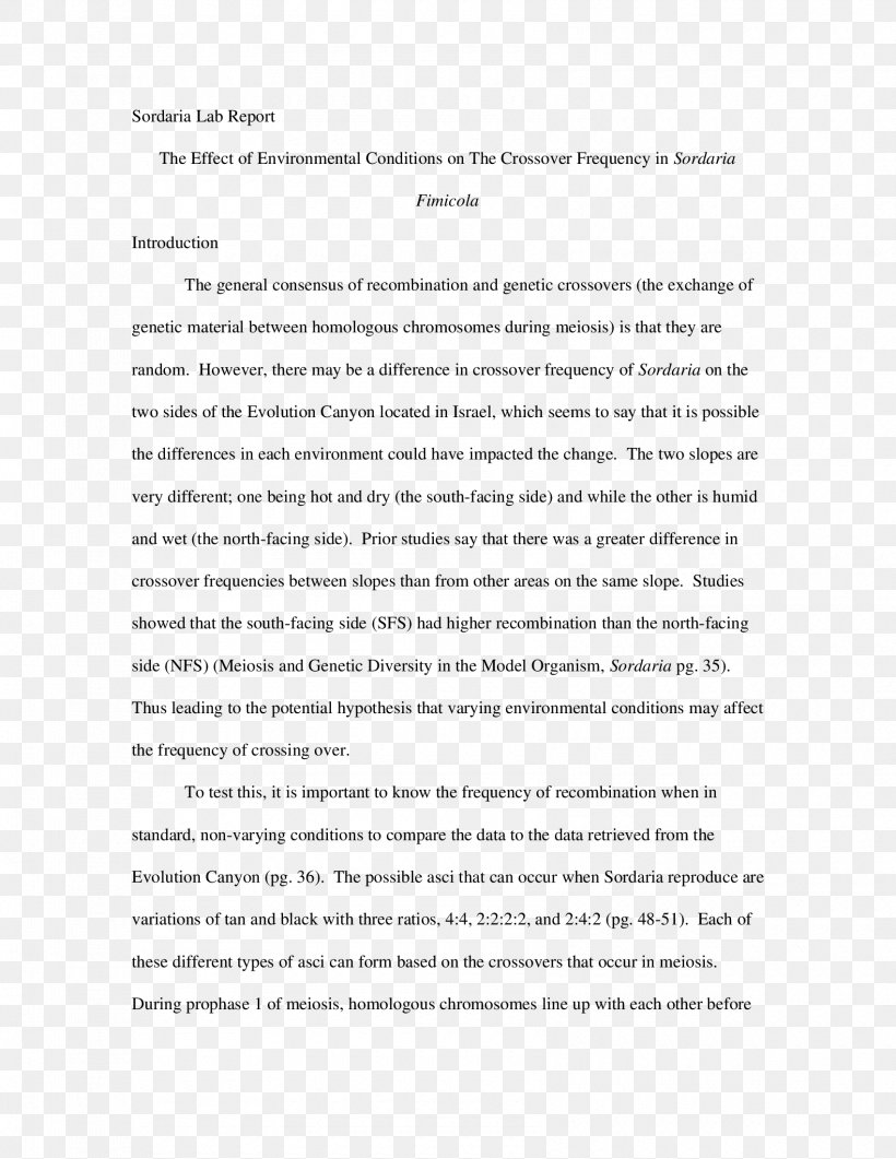 Document Line Angle Essay, PNG, 1700x2200px, Document, Area, Diagram, Essay, Paper Download Free