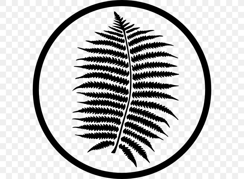 Fern Nature Plants Car Leaf, PNG, 600x600px, Fern, Blackandwhite, Botany, Car, Description Download Free