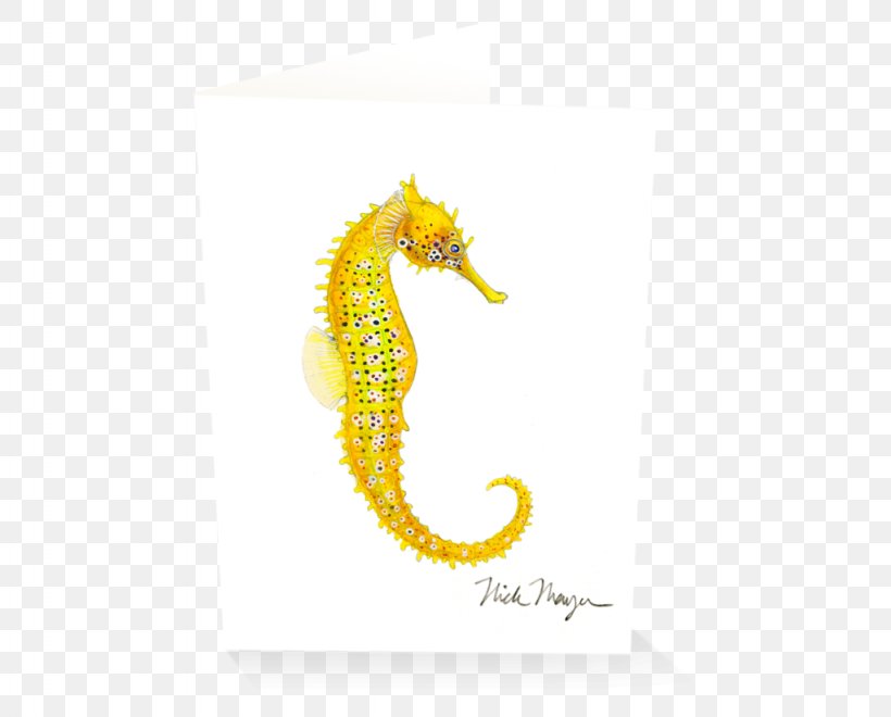 Pacific Seahorse Big-belly Seahorse Yellow Seahorse Leafy Seadragon Syngnathidae, PNG, 1024x825px, Pacific Seahorse, Animal, Bigbelly Seahorse, Electric Ray, Fish Download Free