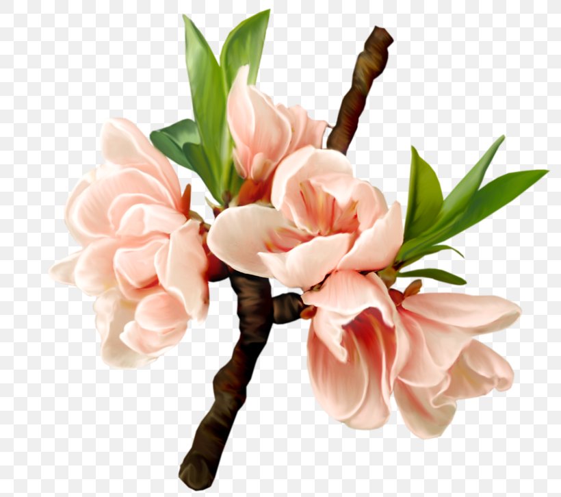 Floral Design Flower Drawing, PNG, 800x726px, Floral Design, Art, Artificial Flower, Blossom, Bud Download Free