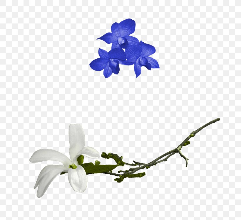 Cut Flowers Design Image, PNG, 750x750px, Flower, Blue, Cut Flowers, Designer, Flora Download Free