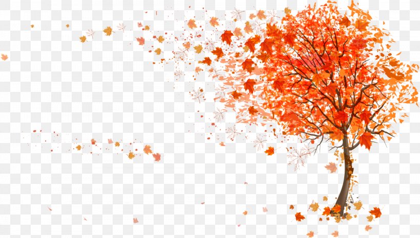 Autumn Leaf Color Tree Illustration, PNG, 1148x653px, Autumn, Autumn Leaf Color, Branch, Color, Drawing Download Free