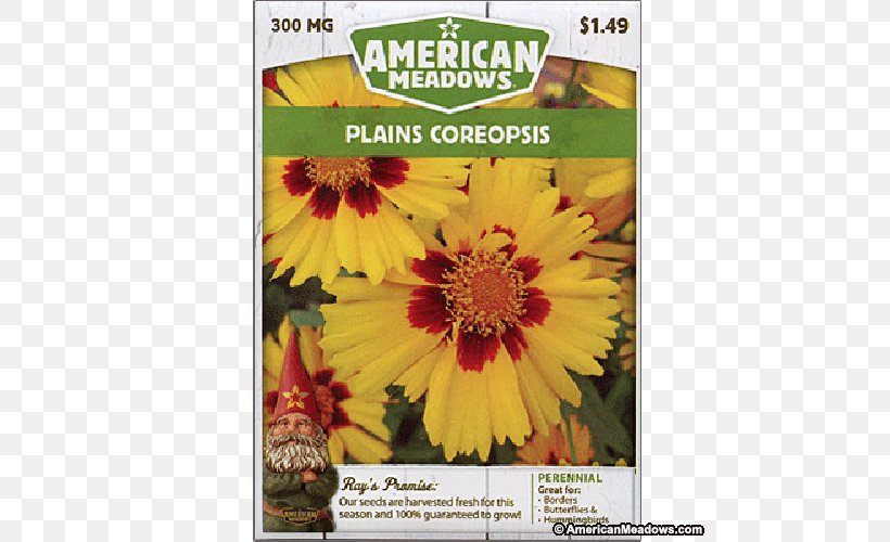 Chrysanthemum Sunflower Seed Sunflowers Meadow, PNG, 500x500px, Chrysanthemum, Chrysanths, Daisy Family, Flora, Flower Download Free