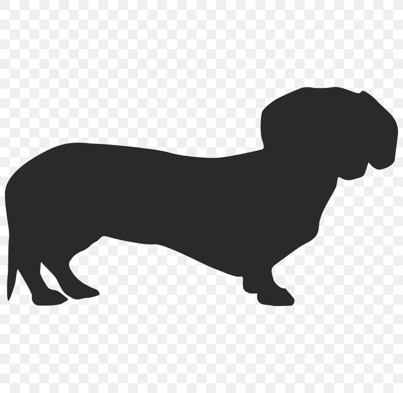 Dachshund Dog Breed Dobermann Pet Florida, PNG, 800x800px, Dachshund, Animal, Black, Black And White, Breed Download Free