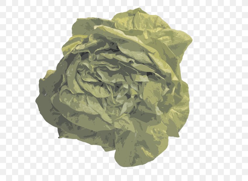 Euclidean Vector Vegetable Fruit, PNG, 800x600px, Vegetable, Cabbage, Camouflage, File Size, Food Download Free