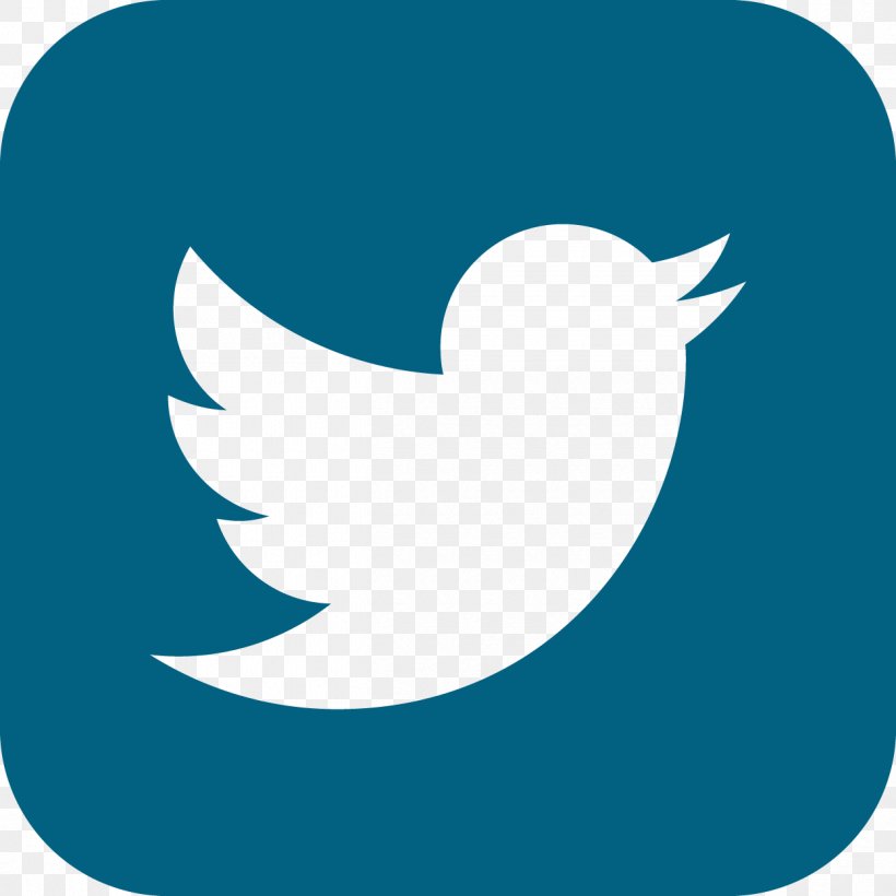 Logo Social Media Clip Art, PNG, 1250x1250px, Logo, Aqua, Beak, Bird, Blog Download Free