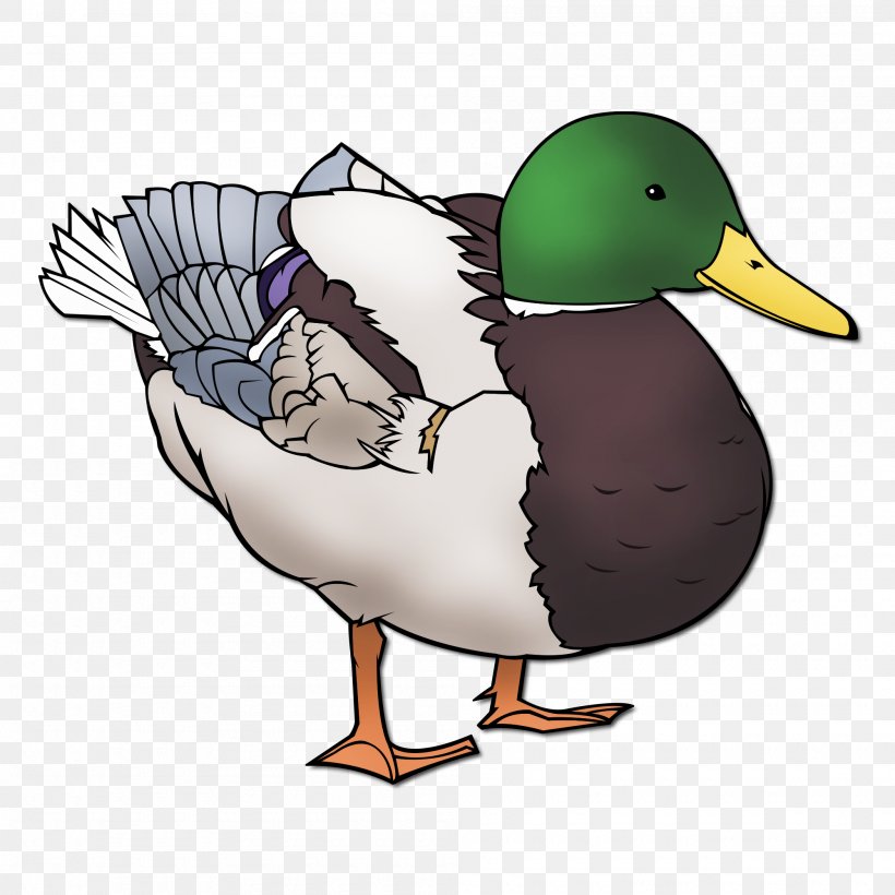 Mallard Duck Goose Clip Art Image, PNG, 2000x2000px, Mallard, American Black Duck, Animal, Art, Art Museum Download Free