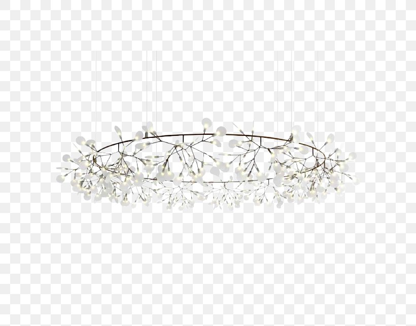 Moooi Pendant Light Lighting, PNG, 643x643px, Moooi, Ceiling Fixture, Chandelier, Cow Parsnip, Diffuser Download Free