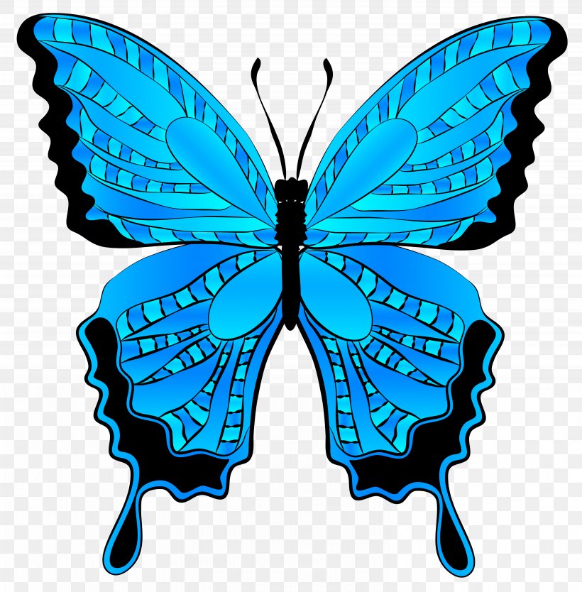 Butterfly Morpho Menelaus Clip Art, PNG, 6117x6224px, Butterfly, Arthropod, Brush Footed Butterfly, Butterflies And Moths, Clip Art Download Free
