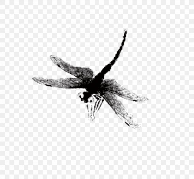 Dragonfly Watercolor Painting, PNG, 2480x2297px, Dragonfly, Animation, Art, Arthropod, Black And White Download Free