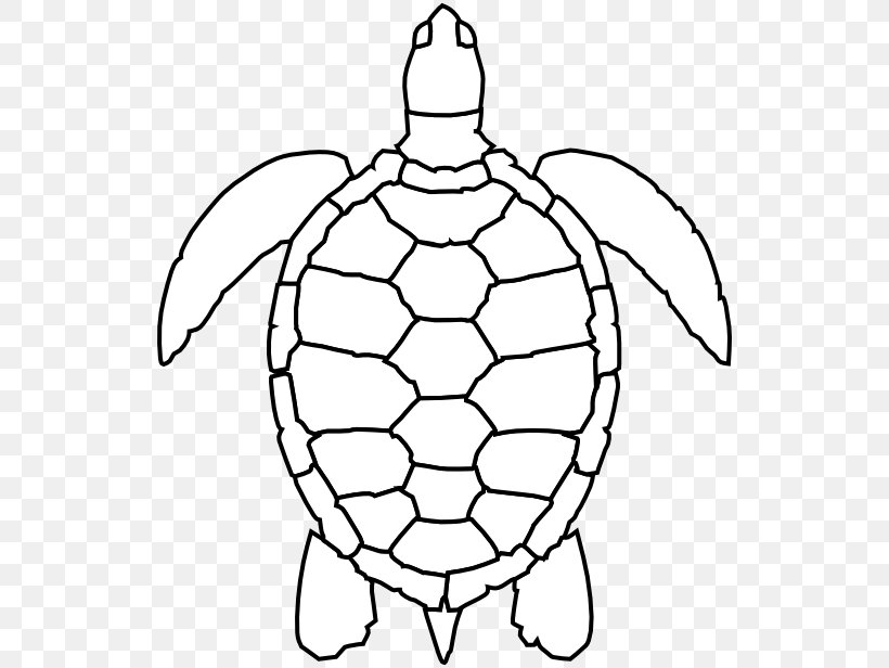 Green Sea Turtle Drawing Clip Art, PNG, 536x616px, Turtle, Area, Ball, Black And White, Coloring Book Download Free