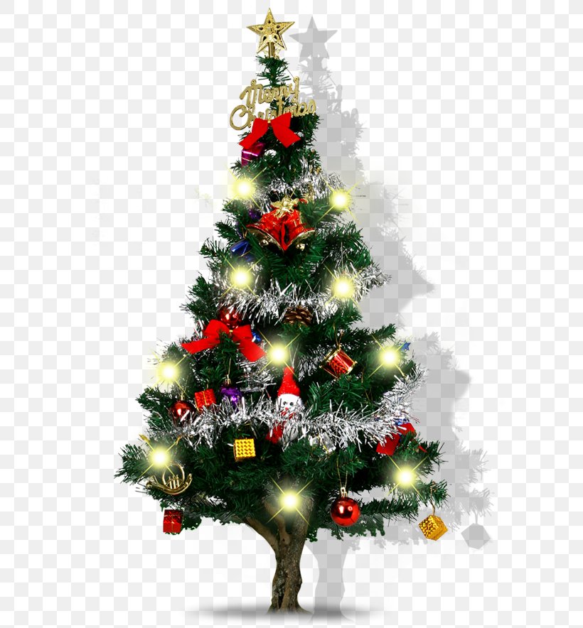 Santa Claus Christmas Tree Christmas Ornament Christmas Decoration, PNG, 800x884px, Santa Claus, Christmas, Christmas Decoration, Christmas Ornament, Christmas Tree Download Free