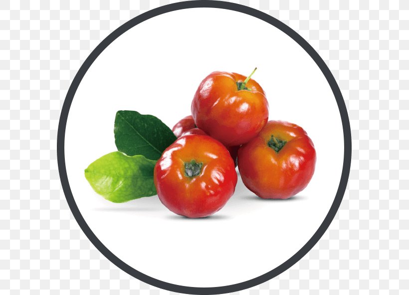 Barbados Cherry Malpighia Glabra Fruit Smoothie, PNG, 591x591px, Barbados Cherry, Acerola, Acerola Family, Bush Tomato, Cherry Download Free