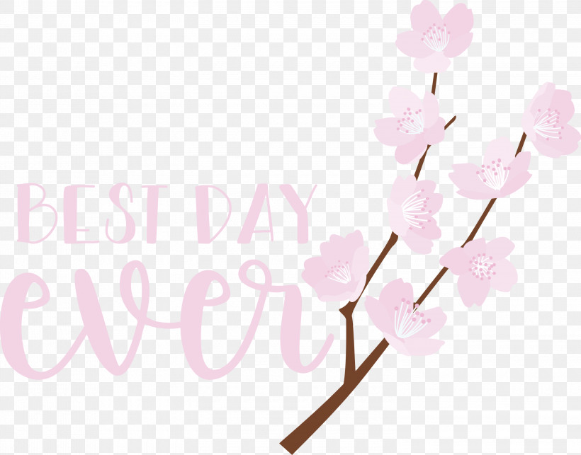 Best Day Ever Wedding, PNG, 3000x2354px, Best Day Ever, Branching, Cherry Blossom, Cut Flowers, Flower Download Free