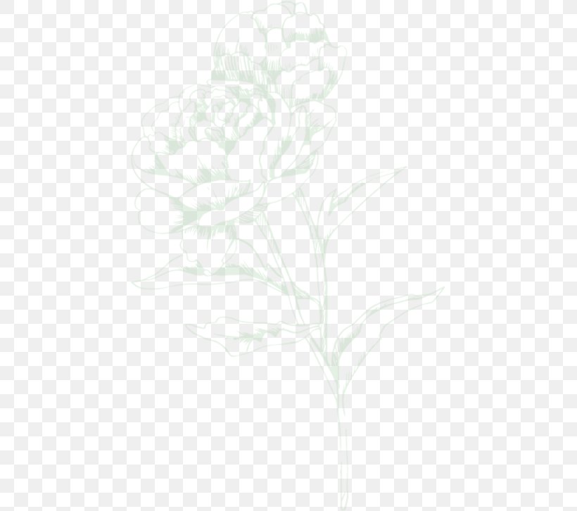 Betty Barclay Sheer Delight Eau De Toilette Spray Perfume Betty Barclay Tender Blossom EDT Sketch, PNG, 451x726px, Betty Barclay, Artwork, Black And White, Branch, Drawing Download Free