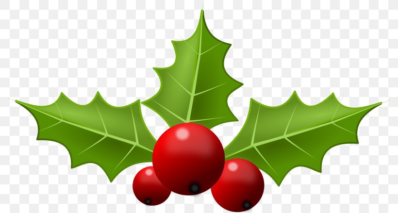 Common Holly Christmas Free Content Clip Art, PNG, 800x439px, Common Holly, Aquifoliaceae, Aquifoliales, Blog, Christmas Download Free