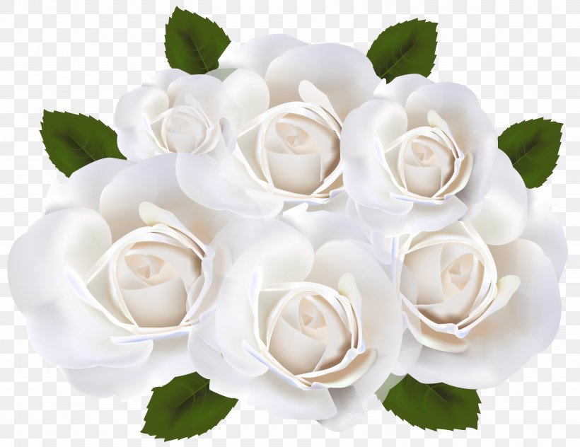Garden Roses White Clip Art, PNG, 7500x5781px, Rose, Artificial Flower, Bud, Cut Flowers, Floral Design Download Free