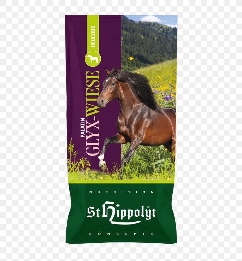 Horse Fodder Dietary Fiber St. Hippolytus Nutrition Concepts GmbH & Co. KG Equine Nutrition, PNG, 700x886px, Horse, Cereal, Dietary Fiber, Eating, Equine Nutrition Download Free