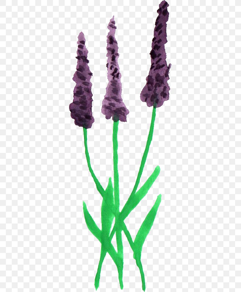 Lavender Sticker Plant Stem, PNG, 349x993px, Lavender, Com, Cut Flowers, Flora, Flower Download Free