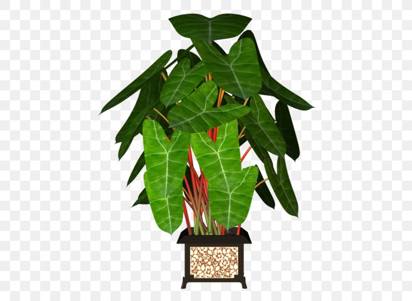 Flowerpot Tree Leaf Garden, PNG, 462x600px, Flowerpot, Crock, Flower, Flower Garden, Garden Download Free