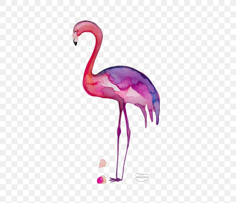 Greater Flamingo Drawing, PNG, 564x705px, Flamingo, Beak, Bird, Crane, Crane Like Bird Download Free