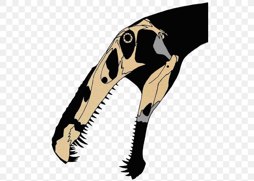 Irritator Spinosaurus Siamosaurus Ichthyovenator Suchomimus, PNG, 525x584px, Irritator, Beak, Chordata, Dinosaur, Early Cretaceous Download Free