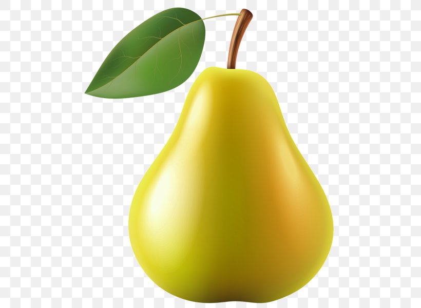 Pear Clip Art, PNG, 499x600px, Pear, Amygdaloideae, Avocado, Food, Fruit Download Free