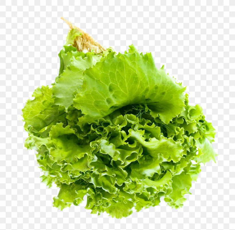 Vegetable Lettuce Clip Art, PNG, 1253x1228px, Caesar Salad, Display Resolution, Endive, Food, Leaf Vegetable Download Free