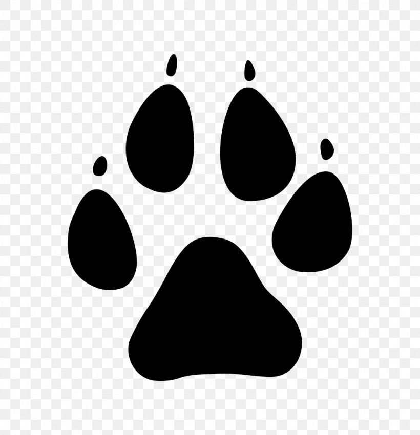 Cat Dog Cutie Mark Crusaders Mt Vernon Animal Shelter Paw, PNG, 1015x1053px, Cat, Animal, Animal Shelter, Animal Track, Black Download Free